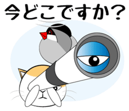 Message from dog cat bird sticker #7437116