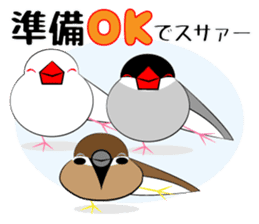 Message from dog cat bird sticker #7437117