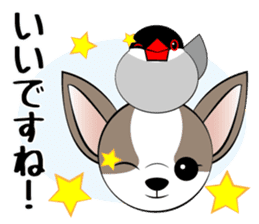Message from dog cat bird sticker #7437118