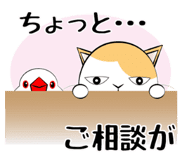 Message from dog cat bird sticker #7437120