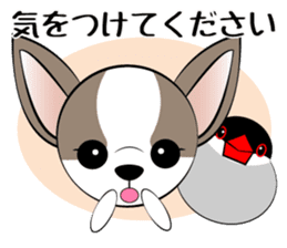 Message from dog cat bird sticker #7437123