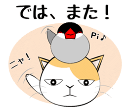 Message from dog cat bird sticker #7437126