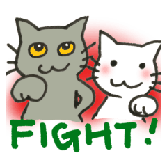 Kissa and Harmaa, cats for conversation