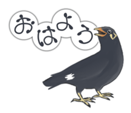 bird kanchan sticker #7441332