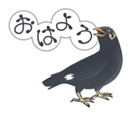 bird kanchan sticker #7441332