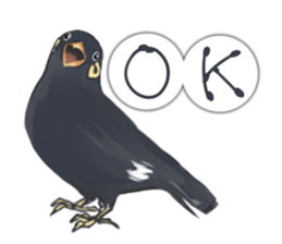 bird kanchan sticker #7441334