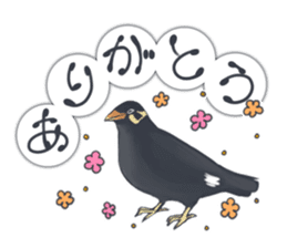 bird kanchan sticker #7441337