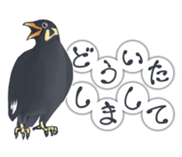 bird kanchan sticker #7441338