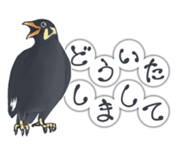 bird kanchan sticker #7441338