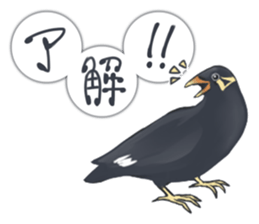 bird kanchan sticker #7441339