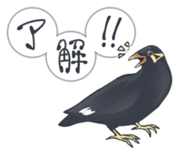 bird kanchan sticker #7441339