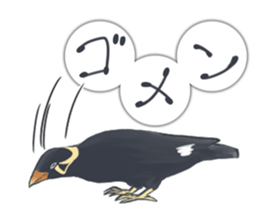 bird kanchan sticker #7441340