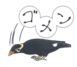 bird kanchan sticker #7441340