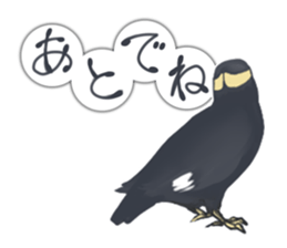 bird kanchan sticker #7441341