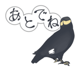 bird kanchan sticker #7441341