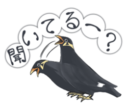 bird kanchan sticker #7441343
