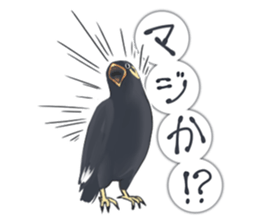 bird kanchan sticker #7441344