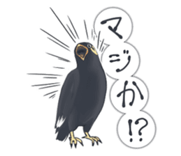 bird kanchan sticker #7441344