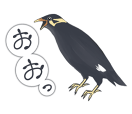 bird kanchan sticker #7441345