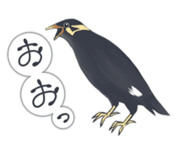 bird kanchan sticker #7441345