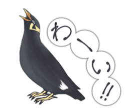 bird kanchan sticker #7441346