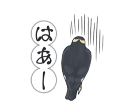 bird kanchan sticker #7441348