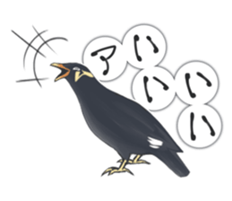 bird kanchan sticker #7441349