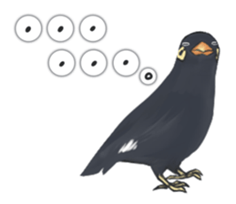 bird kanchan sticker #7441350