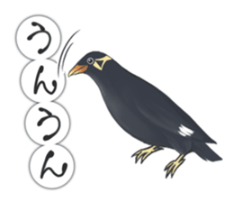 bird kanchan sticker #7441351