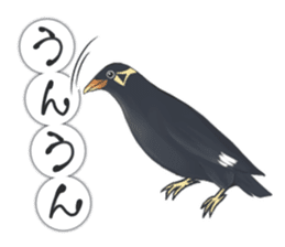 bird kanchan sticker #7441351