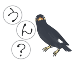 bird kanchan sticker #7441352