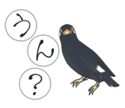 bird kanchan sticker #7441352