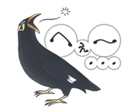 bird kanchan sticker #7441354