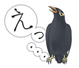 bird kanchan sticker #7441355
