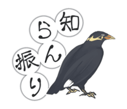bird kanchan sticker #7441356