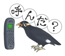 bird kanchan sticker #7441357