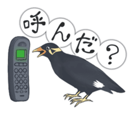 bird kanchan sticker #7441357