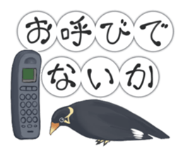 bird kanchan sticker #7441358