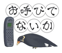 bird kanchan sticker #7441358