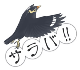 bird kanchan sticker #7441359