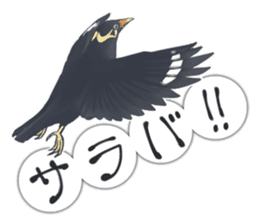 bird kanchan sticker #7441359