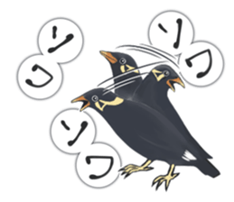 bird kanchan sticker #7441360