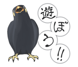 bird kanchan sticker #7441362