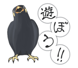 bird kanchan sticker #7441362