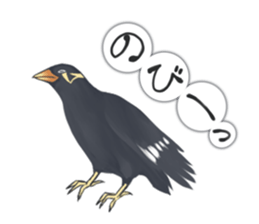 bird kanchan sticker #7441363