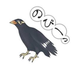 bird kanchan sticker #7441363