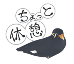 bird kanchan sticker #7441364