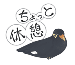 bird kanchan sticker #7441364