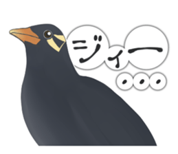 bird kanchan sticker #7441366