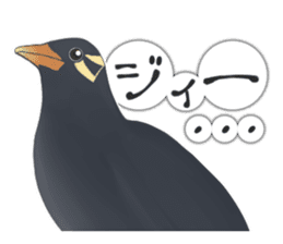 bird kanchan sticker #7441366